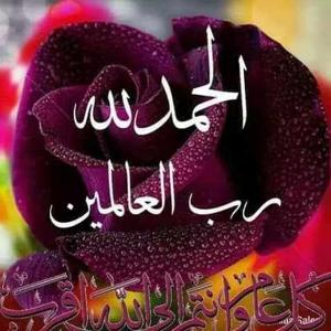 Halima Abdulrahman logo