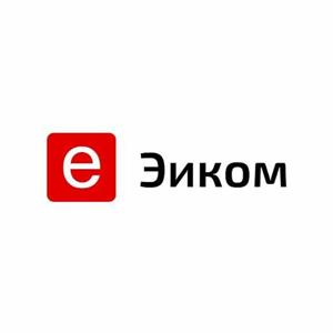 eicom ru logo