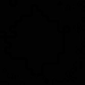Ron logo