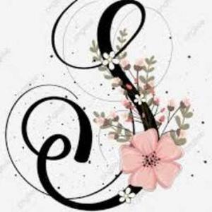 Sneha Gulhane logo