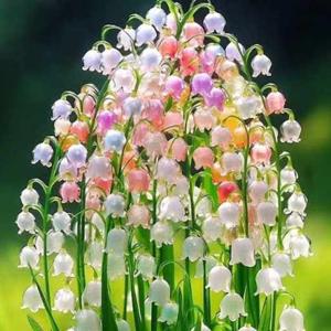 Praditi Tia Gupta logo