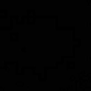Sakshee Kodape logo