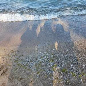 Mahreen Muqeeth logo