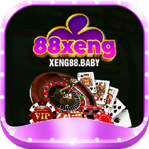 Xeng88baby logo