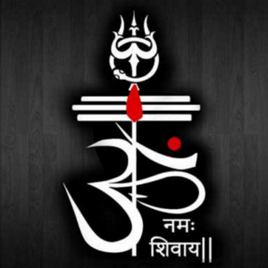 Nikita Singh logo