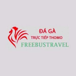 Đá Gà Trực Tiếp Thomo logo