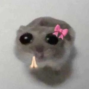 someone logo