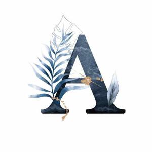 AAYESHA NOOR logo