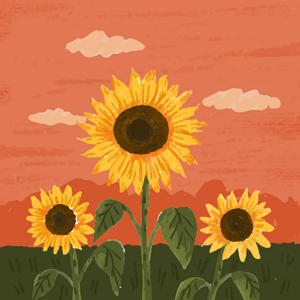 Sunshine logo