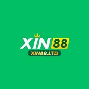Xin88 ltd logo