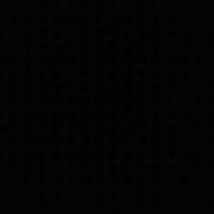 aditinaina logo