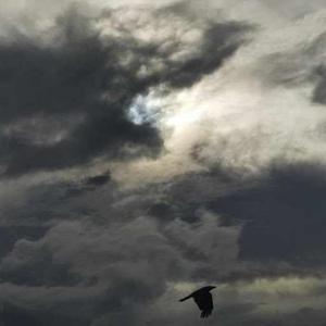 CertifiedNovice2708 logo