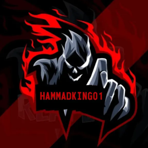 MUHAMMAD HAMMAD SIDDIQUI logo