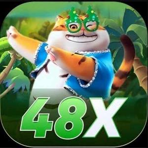 48x