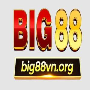 BIG88 logo