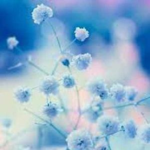 Beautiful Blue Day logo