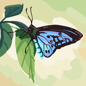 Shruti Kushwaha logo