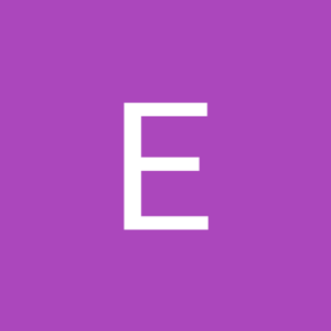Ecoeng logo