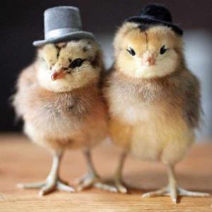 Saranya Bhasker logo