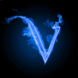 Vaishnavi T logo