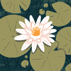 Kushi Poojary logo
