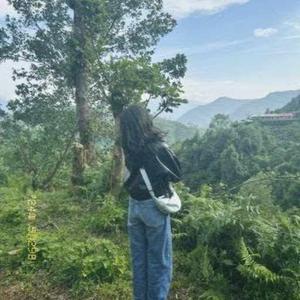 Khushboo Agarwal logo