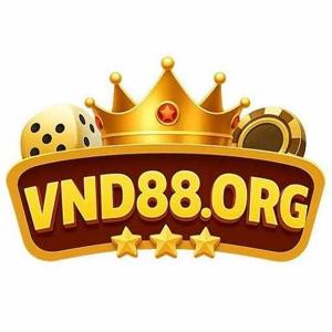 Vnd88 logo