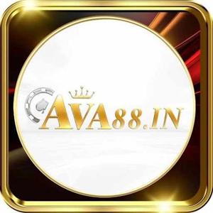ava88in logo