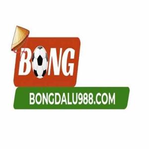 Bongdalu988 Com