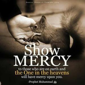 Tajudeen Mutiat Temilade logo