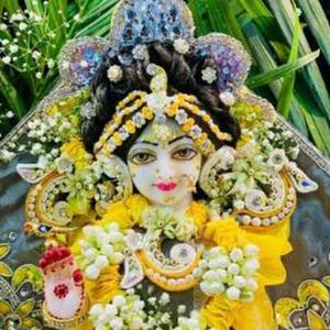 Nandini Hanwate logo