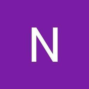 Nandini logo