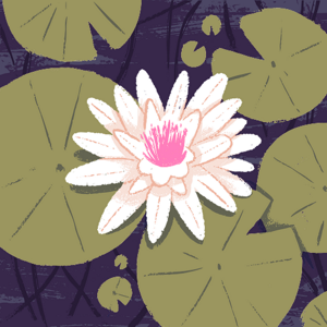 Megha Misty logo