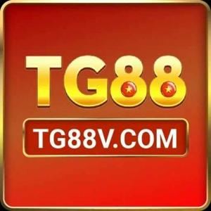 Tg88v com