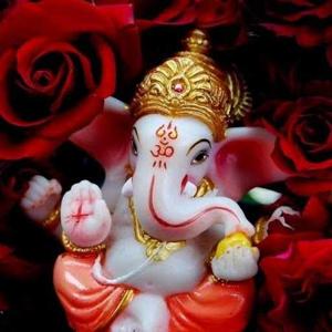 prakash agarwal logo