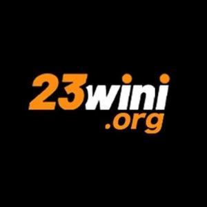 23WINI ORG logo