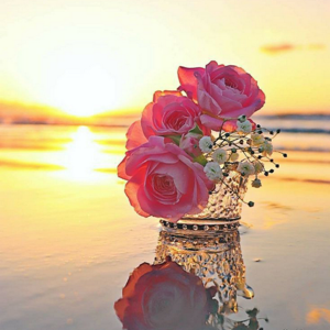 shweta wankhede logo