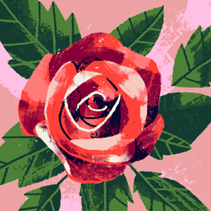 Aneesa Ahmed Qureshi logo