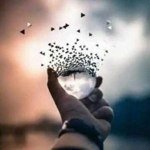 Bhawna Upadhyay logo