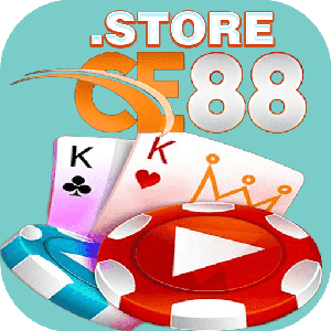 ce88 stoer logo