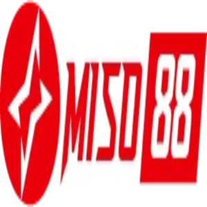 miso88bo cn com