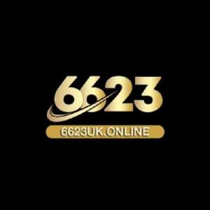6623 logo