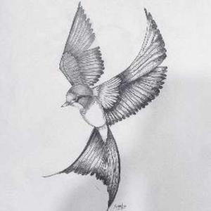 Anagha Vemparala logo