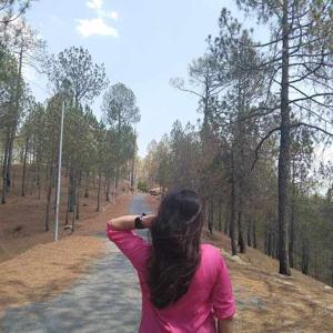 Vaishnavi Joshi logo