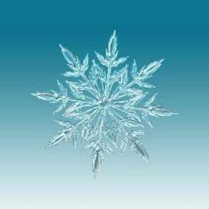 Pragati Gadkari logo