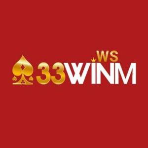 33WIN logo
