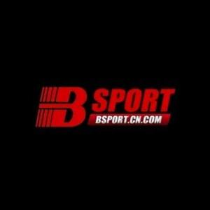 BSport logo