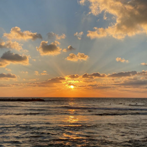 nishka bhuradia logo