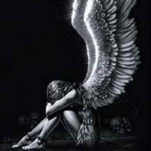 Shanaya Chaudhary logo