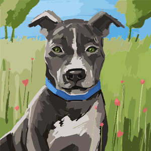 Divya Sai Bhanu logo